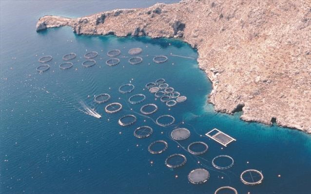 Ολοκληρώθηκε η εξαγορά Νηρέα - Σελόντα από την Andromeda Seafood - Media