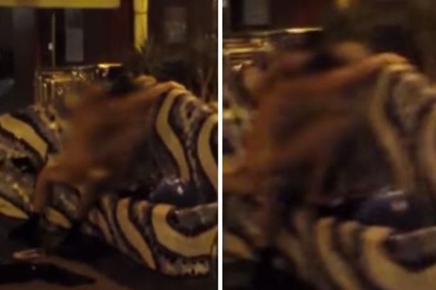 Έκαναν σεξ στη μέση της πλατείας και όταν πήγαν οι αστυνομικοί τους είπαν «φύγετε μας ενοχλείτε» (Video) - Media