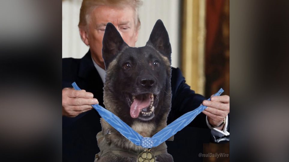 Ο Τραμπ «παρασημοφόρησε» εικονικά τον σκύλο που κυνήγησε τον Άμπου Μπακρ αλ Μπαγκντάντι - Media