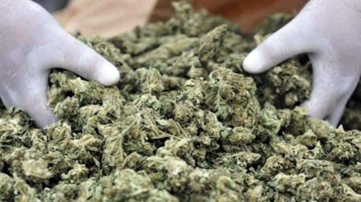 Έφτασε Κύπρο με 17 κιλά κάνναβης στις αποσκευές του - Media