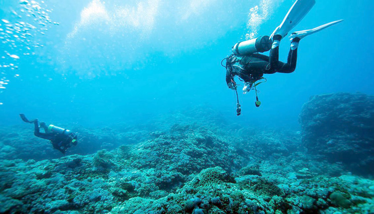 Ετοιμάζεται σούπερ καταδυτικό πάρκο στη Σταλίδα της Κρήτης   - Media