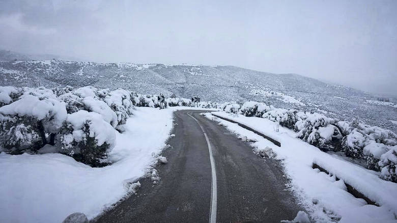 Στα «λευκά» ο Παρνασσός - Επεσαν τα πρώτα χιόνια (Video) - Media