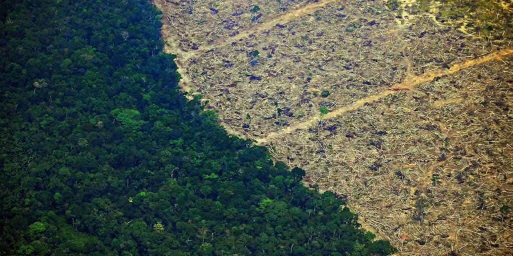 Αμαζόνιος: Ξεπέρασε τα 10.000 τετραγωνικά χιλιόμετρα η επιφάνεια δάσους που αποψιλώθηκε - Media