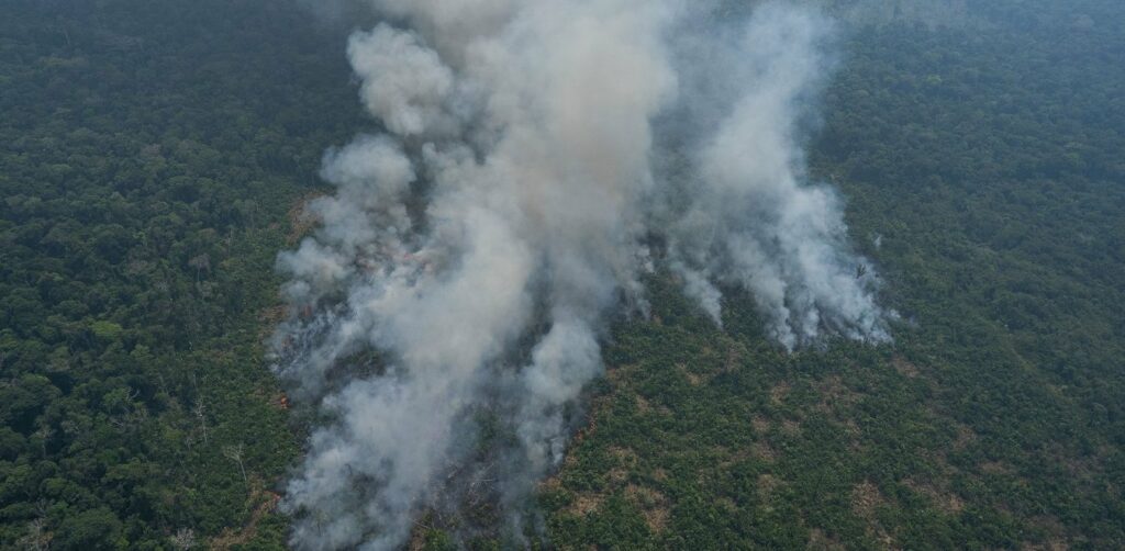 Βραζιλία: Στις φλόγες και ο υγροβιότοπος Παντανάλ - Media