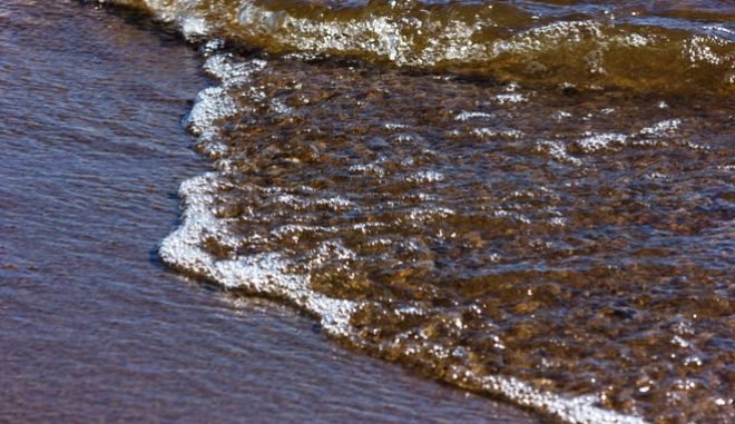 Σπάνιο φαινόμενο: Χιλιάδες «παγωμένα αυγά» βρέθηκαν σε παραλία της Φιλανδίας (Photo) - Media