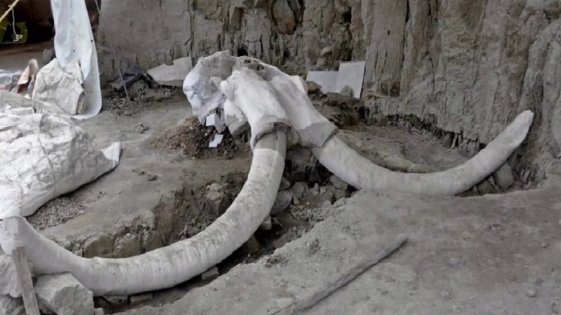 Τρομερή ανακάλυψη: Βρέθηκαν παγίδες για μαμούθ 15.000 ετών (photos & video) - Media