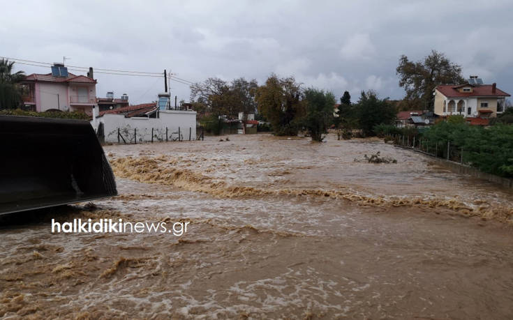 Ανυπολόγιστες καταστροφές σε Θάσο-Χαλκιδική - Κυβερνητικό κλιμάκιο στις πληγείσες περιοχές (Photos/Videos) - Media