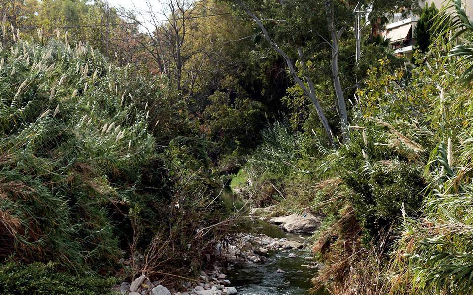 Διασώθηκε από τσιμεντάρισμα η ανοιχτή ρεματιά στα όρια Ν. Φιλαδέλφειας-Αθήνας (Photos) - Media