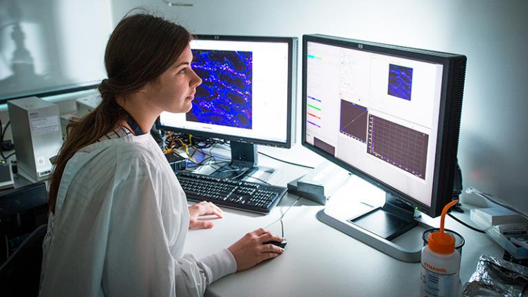 «Θέλουμε την Ελλάδα ηγέτιδα στον τομέα της καινοτομίας στα Βαλκάνια» - Media