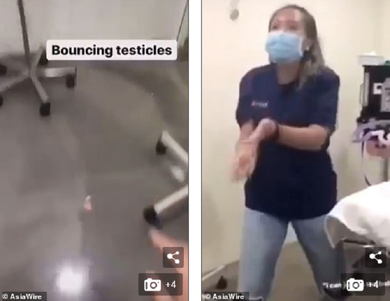 Κτηνίατροι απολύθηκαν επειδή έπαιζαν με τους όρχεις ευνουχισμένου σκύλου και φώναζαν στο αυτί κουφής γάτας (Photos/Video) - Media