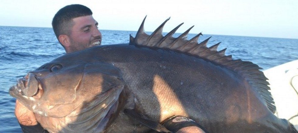 Χανιά: Έπιασε τεράστιο ψάρι στα 190 μέτρα (Video) - Media