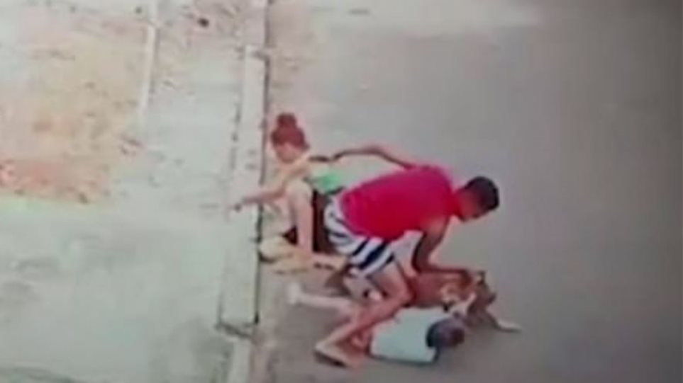 Βραζιλία: 20χρονος έδωσε μάχη με πίτμπουλ που είχε αρπάξει 4χρονο αγόρι (Video) - Media