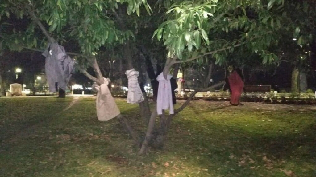 Έδεσσα: Κρέμασαν μπουφάν στα δέντρα για να μη μείνει κανείς μόνος στο κρύο - Media