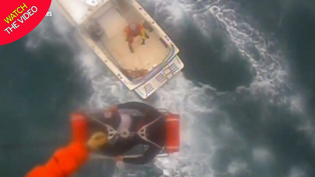 Δραματική διάσωση σέρφερ - Τον είχε δαγκώσει καρχαρίας (Video) - Media
