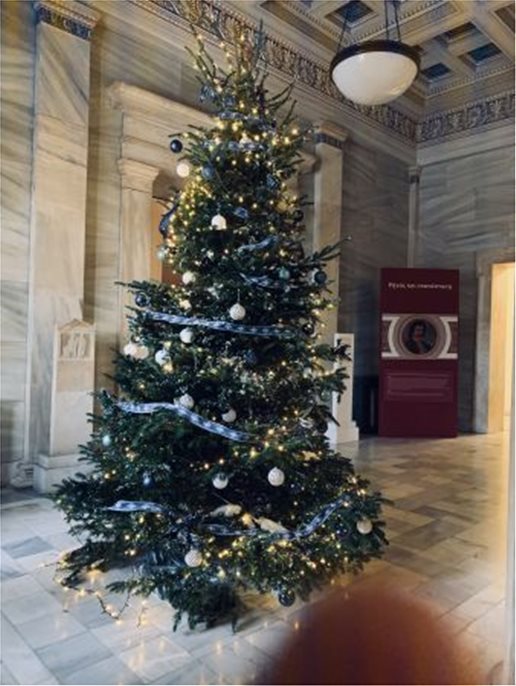 Με… παρέμβαση Τασούλα επανέρχεται το χριστουγεννιάτικο δέντρο στη Βουλή  - Media