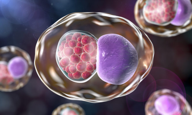 Αν εντοπίσετε αυτά, τότε έχετε χλαμύδια – Προσοχή στα σημάδια - Media