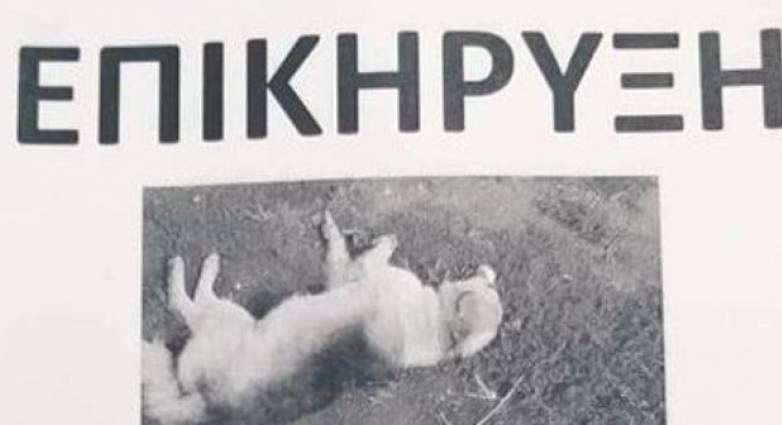 Οργή στην Αμφιλοχία: Επικήρυξε με 2.000 ευρώ το δράστη που σκότωσε τον σκύλο του (Photo) - Media