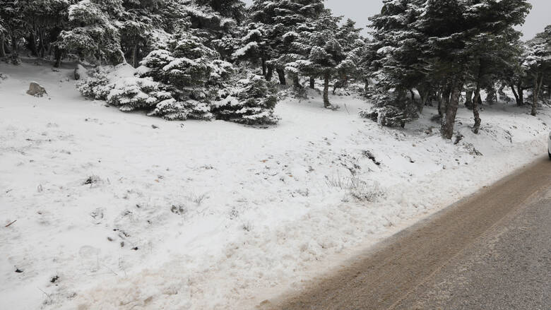 Έπεσαν τα πρώτα χιόνια στην Πάρνηθα (Video) - Media