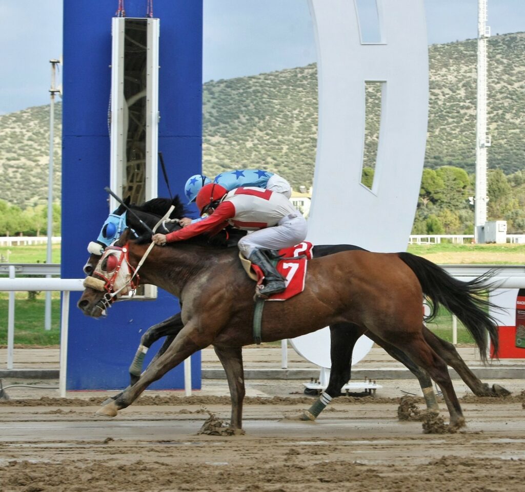 Markopoulo Park: Μεγάλα κέρδη μοίρασε το ΣΚΟΡ 6 - Media