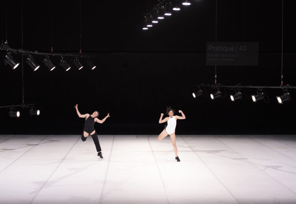 Χορός στη Στέγη: Πρακτική εγκυκλοπαίδεια, αποκλίσεις, Λενιώ Κακλέα - Media
