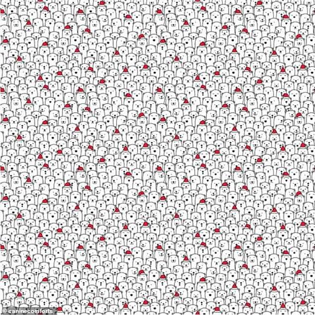 Μπορείτε να βρείτε το σκυλάκι ανάμεσα στις πολικές αρκούδες; - Το παζλ που τα σπάει στο ίντερνετ - Media