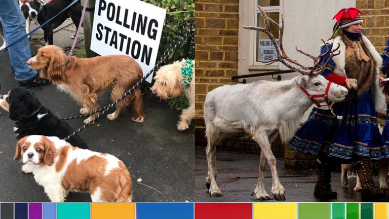 Με τα ζώα τους οι Βρετανοί στα εκλογικά κέντρα για να ψηφίσουν! (Photo) - Media