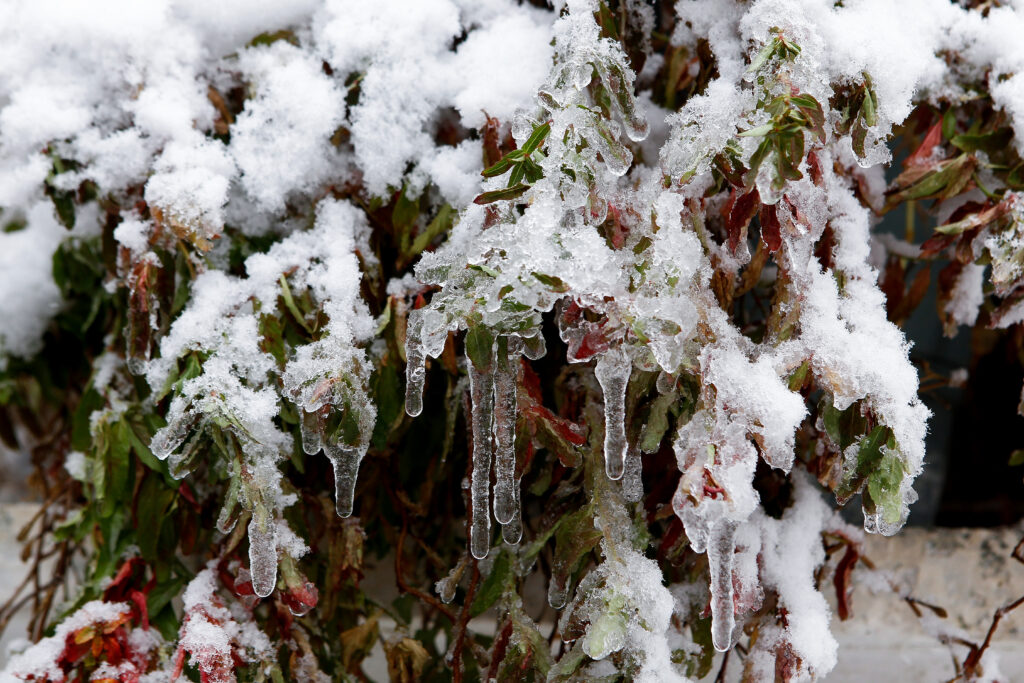 Οδηγίες για την προστασία των πολιτών από τα έντονα καιρικά φαινόμενα - Media