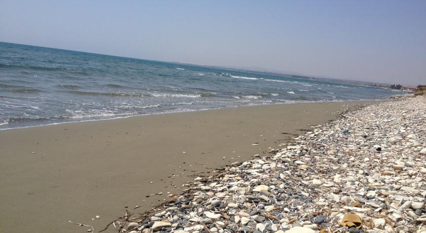 Σε άνδρα ανήκουν τα οστά που εντοπίστηκαν στα Περβόλια - Media