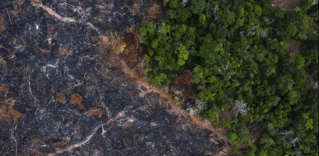 Λιγότερο το οξυγόνο μας το 2019: Οι φωτιές στον Αμαζόνιο αυξήθηκαν κατά 30% - Media