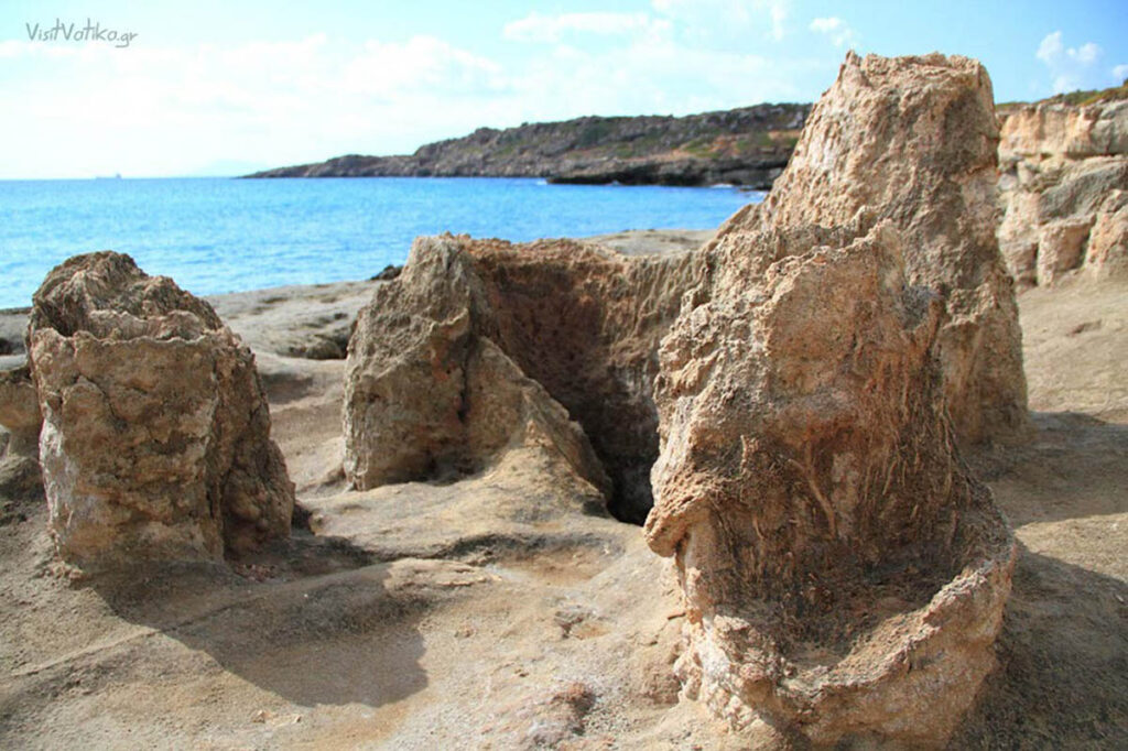 Αναδεικνύεται το μοναδικό απολιθωμένο φοινικόδασος της Λακωνίας! (Video) - Media