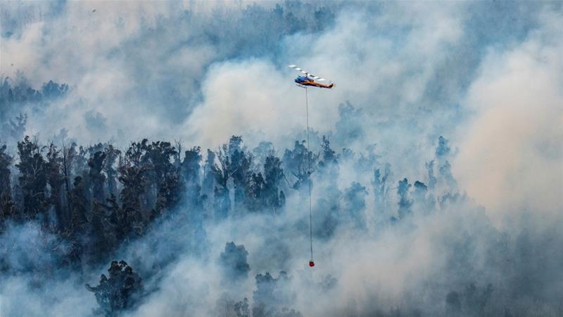 Αισιόδοξα μηνύματα για την Αυστραλία: Υπό έλεγχο η μεγαλύτερη πυρκαγιά της χώρας - Έρχονται και βροχές - Media