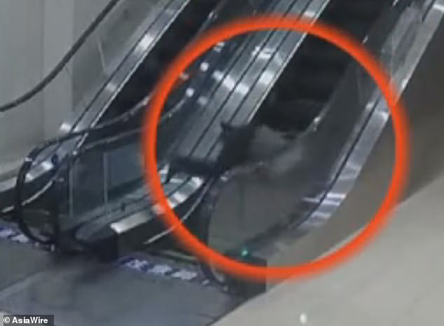 Κυλιόμενες σκάλες «καταπίνουν» 70χρονο που έχασε την ισορροπία του (Photos/Video) - Media