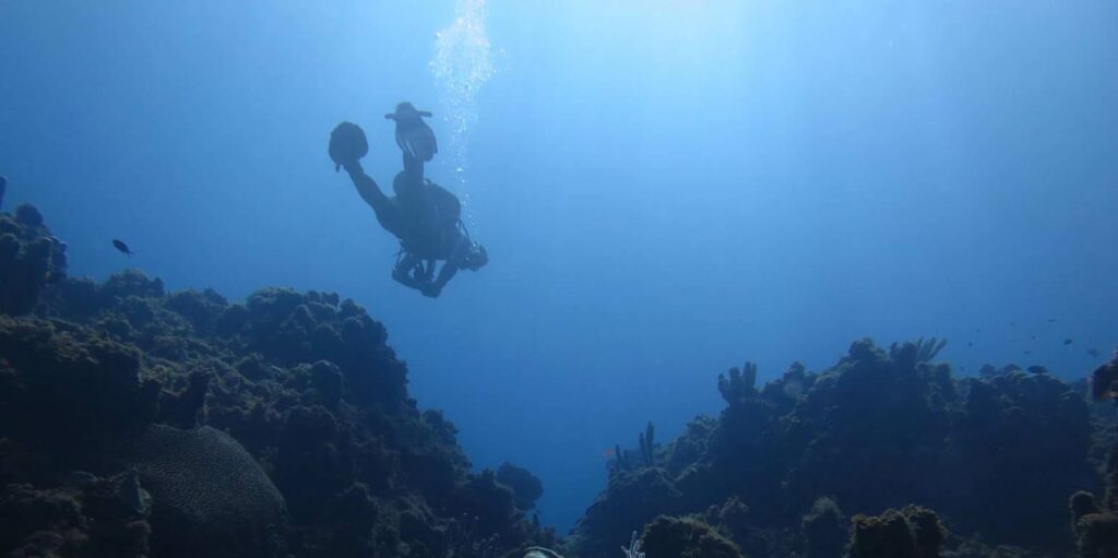 «Εκρηκτική» ψαριά οδήγησε στη σύλληψη δύτη - Media