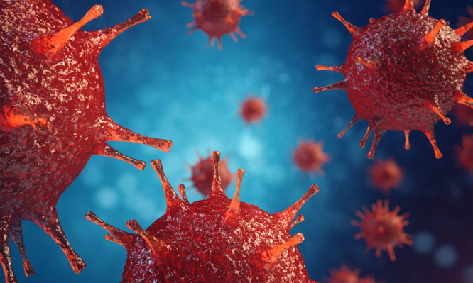 Γρίπη: Δείτε με ποιον τρόπο εισβάλλει ο ιός στον οργανισμό (Video) - Media