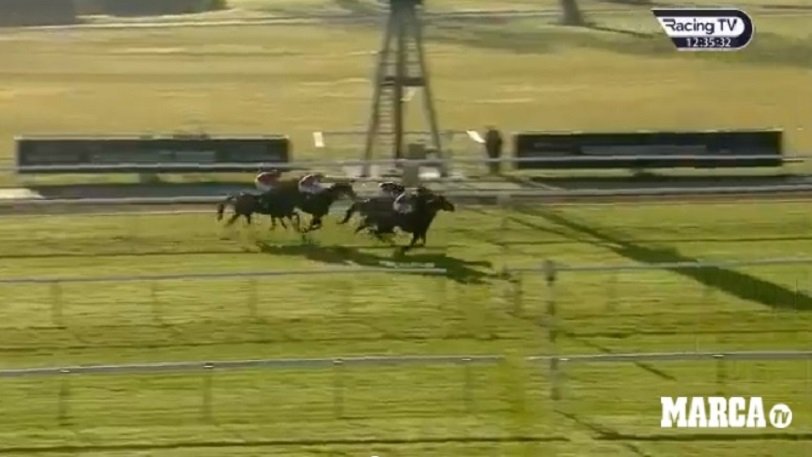 Ο «κουβάς» της δεκαετίας: Αουτσάιντερ άλογο που το έδιναν 999 προς 1, φόρτσαρε και κέρδισε κούρσα στον ιππόδρομο (Video) - Media