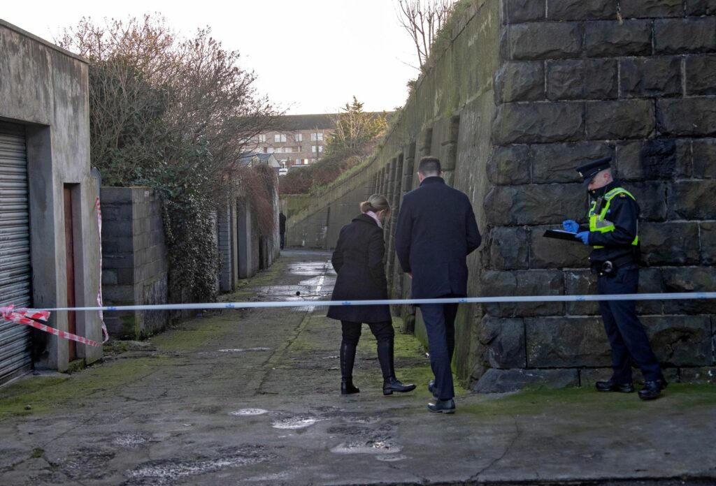Εφιάλτης στην Ιρλανδία: Ανακαλύφθηκαν κι άλλα ανθρώπινα μέλη (Photo) - Media
