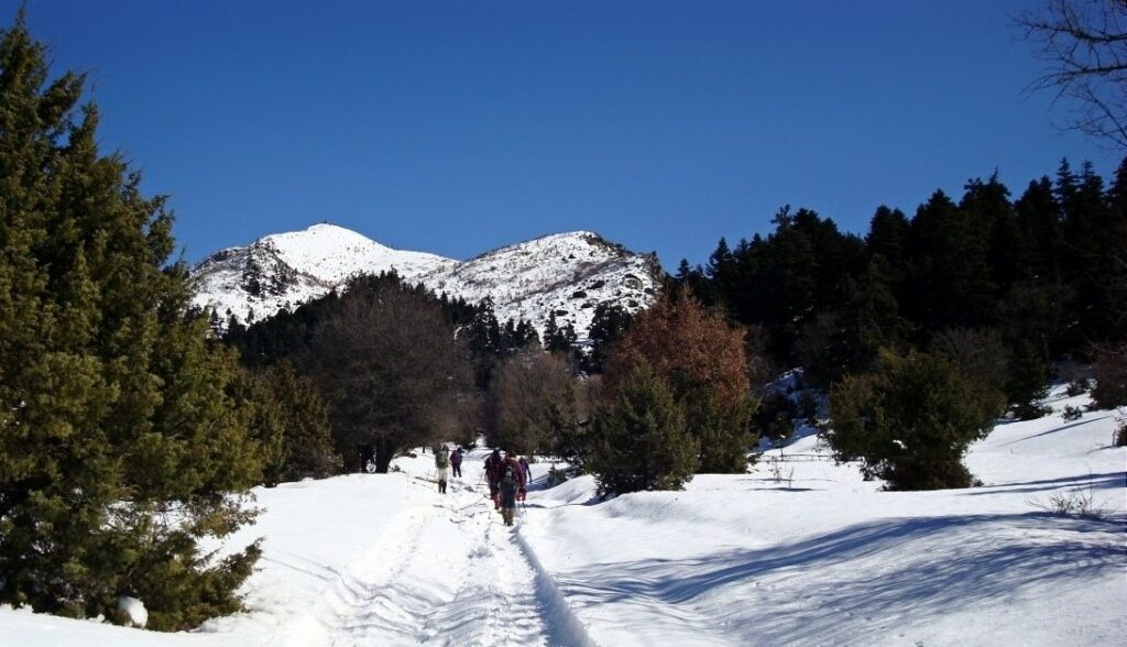 Αίσιο τέλος για τους τέσσερις εκδρομείς που εγκλωβίστηκαν στα χιόνια του Καλλίδρομου - Media