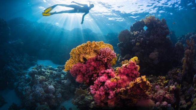 Ο πλανήτης μας συνεχίζει να εκπέμπει SOS: Νέο ιστορικό ρεκόρ θερμοκρασίας των ωκεανών το 2019 - Media