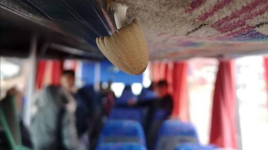 Πάφος: Εικόνες ντροπής σε σχολικό λεωφορείο - Είχε φυτρώσει ακόμα και μανιτάρι (Photos/Video) - Media