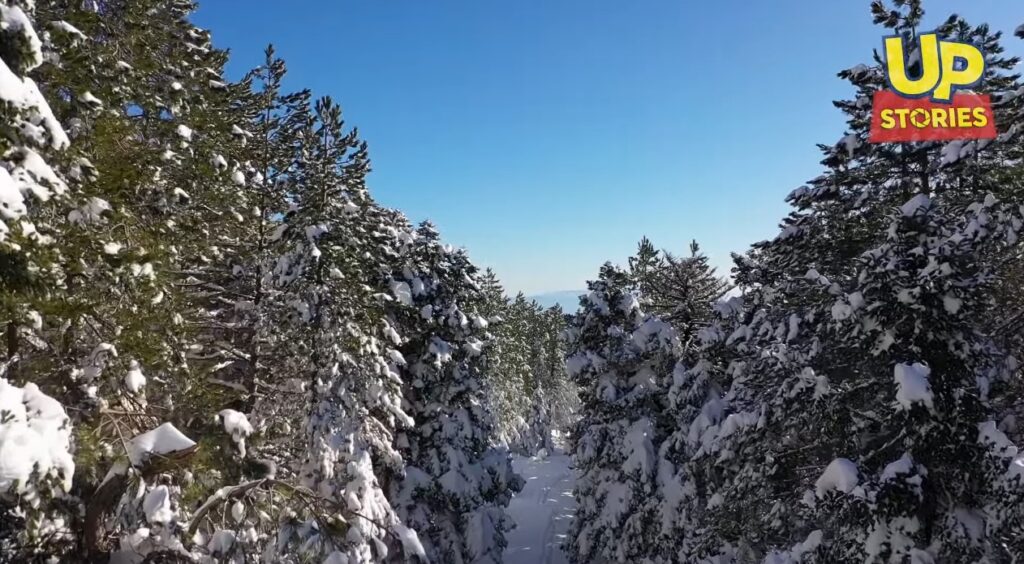 Οι «αττικές Άλπεις»: Η Πάρνηθα όπως δεν την έχετε ξαναδεί - Drone video στον χιονισμένο δρυμό  - Media