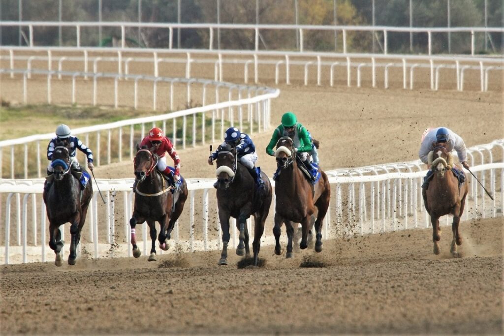 Εννέα ιπποδρομίες, τέσσερα ΣΚΟΡ και επιδότηση Γκανιάν την Κυριακή στο Markopoulo Park  - Media