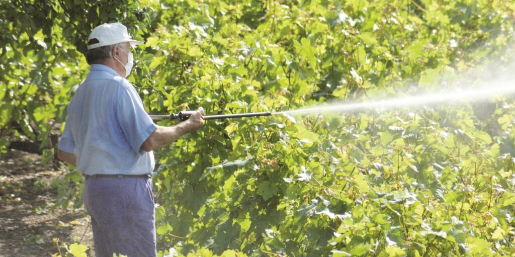 Βουτηγμένη στα φυτοφάρμακα η ύπαιθρος της Κρήτης - Media