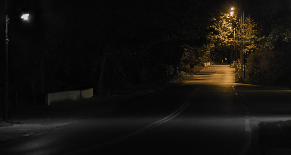 Πήγαινε στη δουλειά της και εντόπισε τρία κομμένα κεφάλια - Media