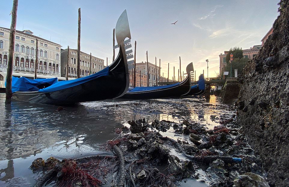 Στεγνώνουν τα κανάλια στη Βενετία, μετά τις πλημμύρες του Νοεμβρίου - Σε απόγνωση οι γονδολιέρηδες (Photos) - Media