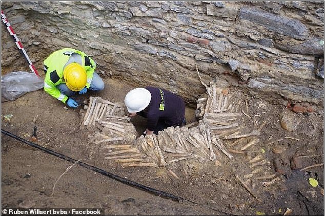 Βέλγιο: Τοίχο από ανθρώπινα οστά ανακάλυψαν αρχαιολόγοι στο προαύλιο εκκλησίας (Photos)  - Media