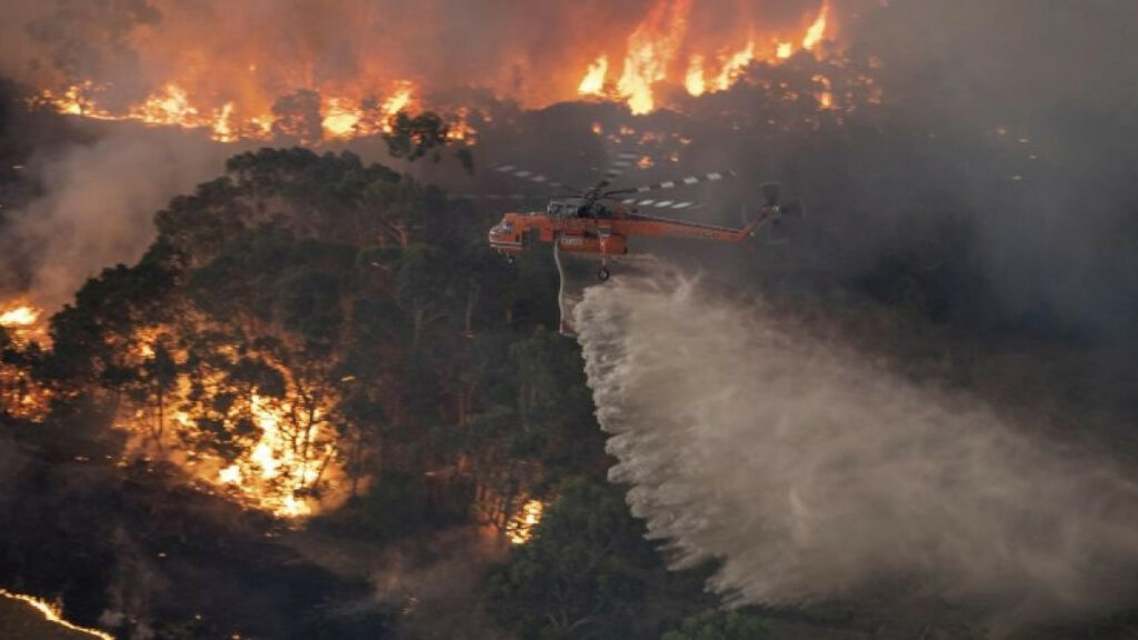 Αυστραλία: Το 20% των δασών κατέστρεψαν οι μεγάλες πυρκαγιές - Media