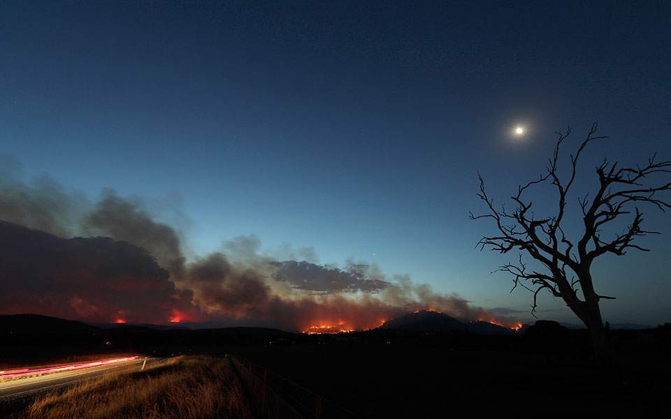 Οι πυρκαγιές στην Αυστραλία κατέστρεψαν το ένα πέμπτο των δασών - Media