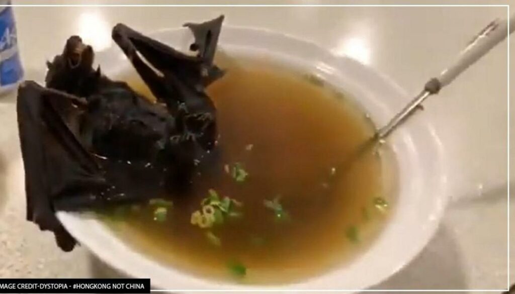 Ινδονησία: Παρά τα κρούσματα κορωνοϊού, «ανάρπαστο» το κρέας... νυχτερίδας! - Media