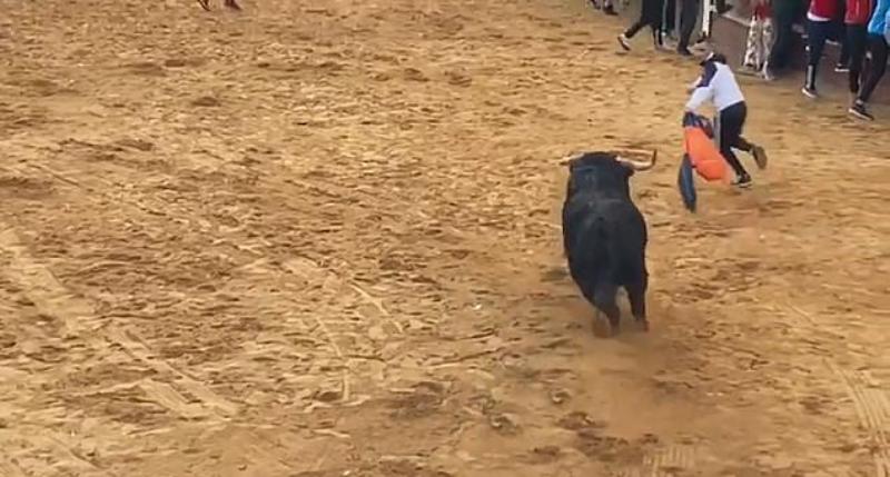 Όλε! Ο ταύρος πέταξε στον αέρα σαν πάνινες κούκλες δυο άνδρες που τον παρενοχλούσαν σε φεστιβάλ στην Ισπανία (Video) - Media
