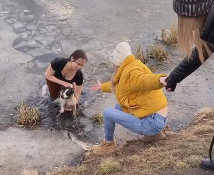 Γενναία μητέρα βούτηξε φορώντας μόνο ένα μπλουζάκι, σε παγωμένη λίμνη για να σώσει σκυλάκι που πνιγόταν (Video) - Media